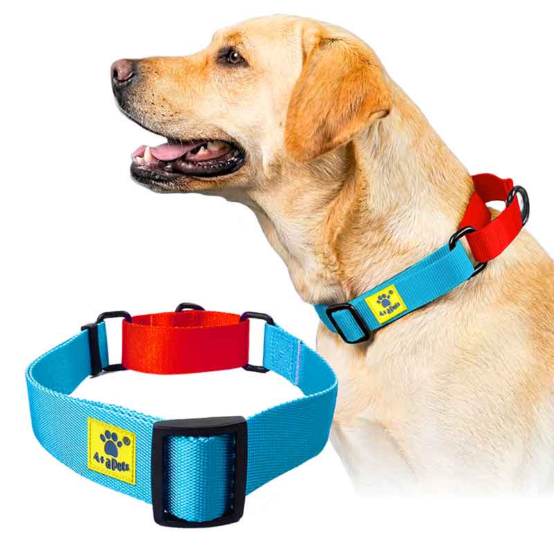 A+a Pets’ Martingale Collar for Dogs - Sky Collection