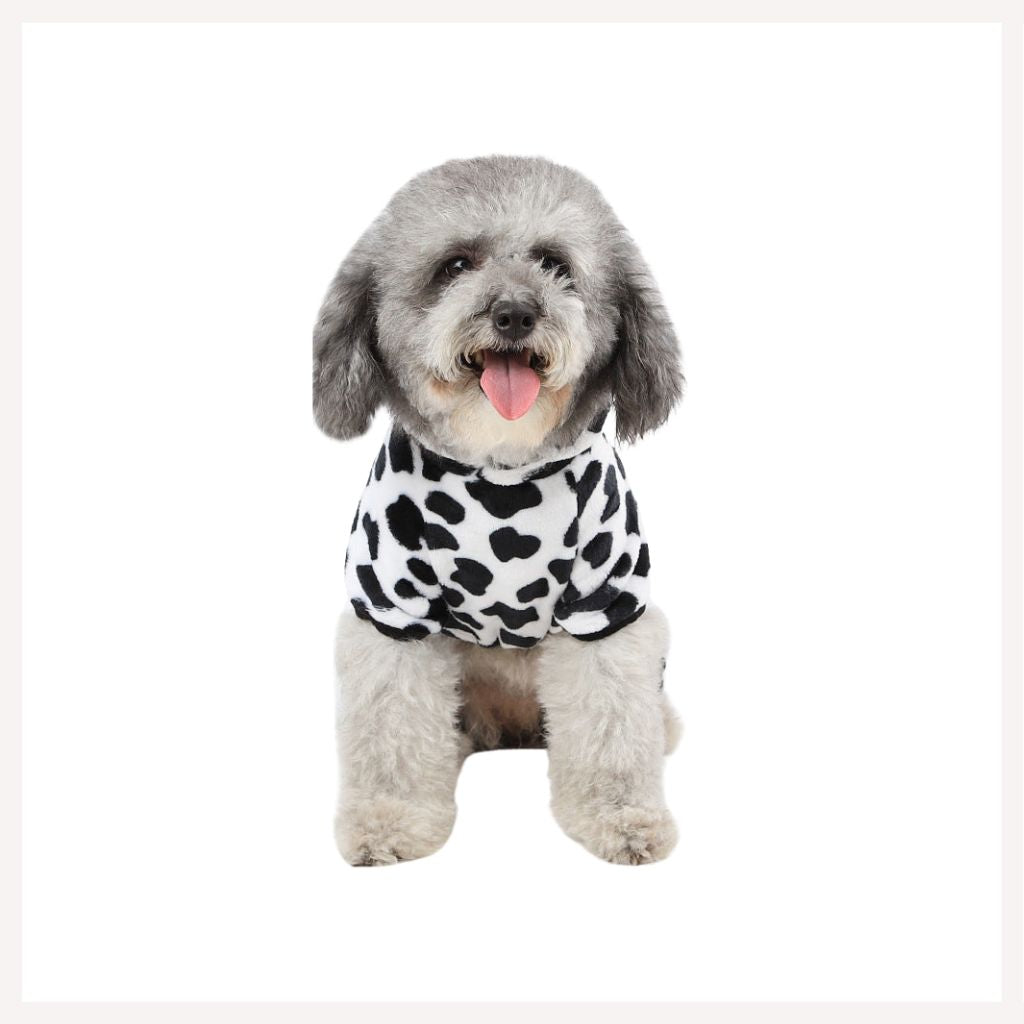 A+a Pets' Costume/Dress for Cats And Small Dogs –