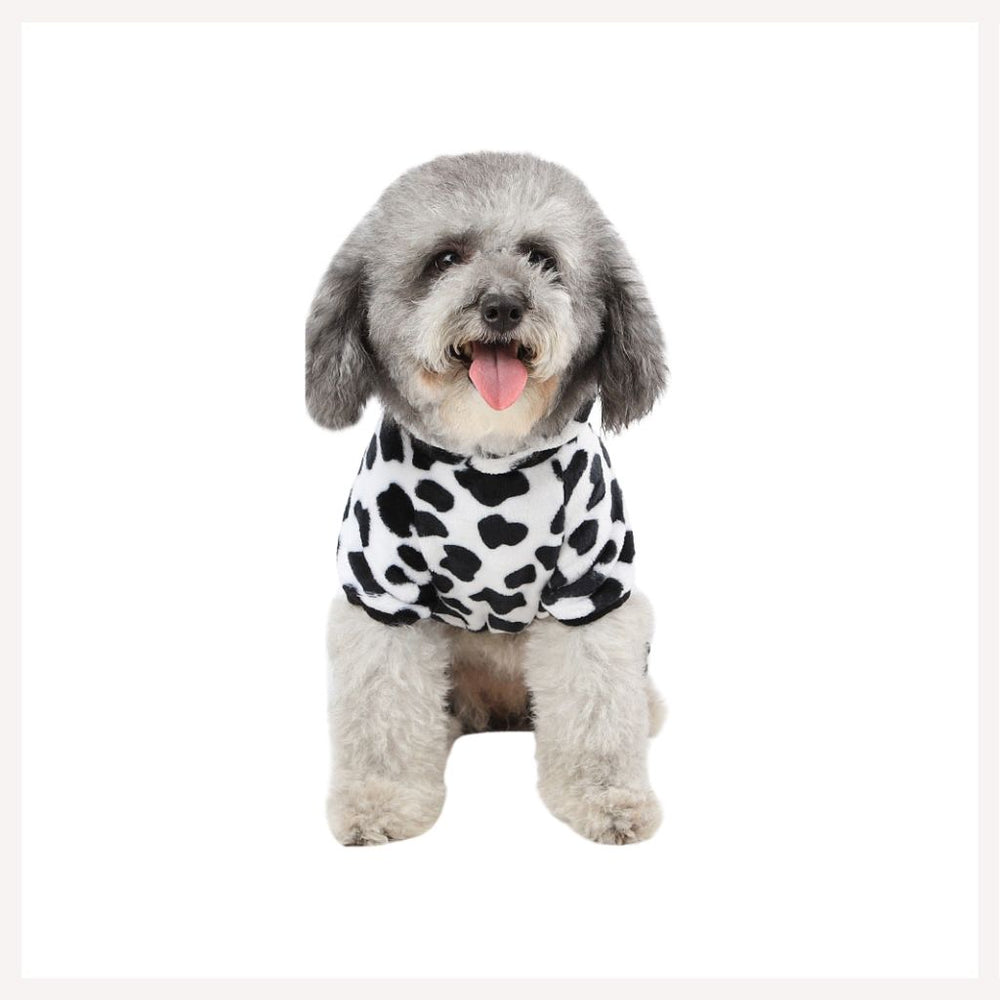 A+a Pets' Costume/Dress for Cats And Small Dogs - www.aplusapets.com