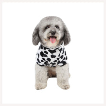 A+a Pets' Costume/Dress for Cats And Small Dogs - www.aplusapets.com