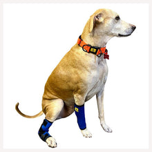 dog leg support hock joint for injured dog leg