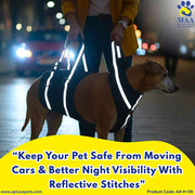 Dog wearing a reflective harness with a person holding it on a city street at night.