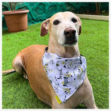 A+a Pets' 2in1 Scarf Collar Bandana for Dogs & Cats - Cute Collection