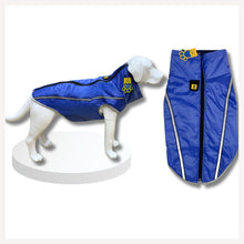 dog raincoat