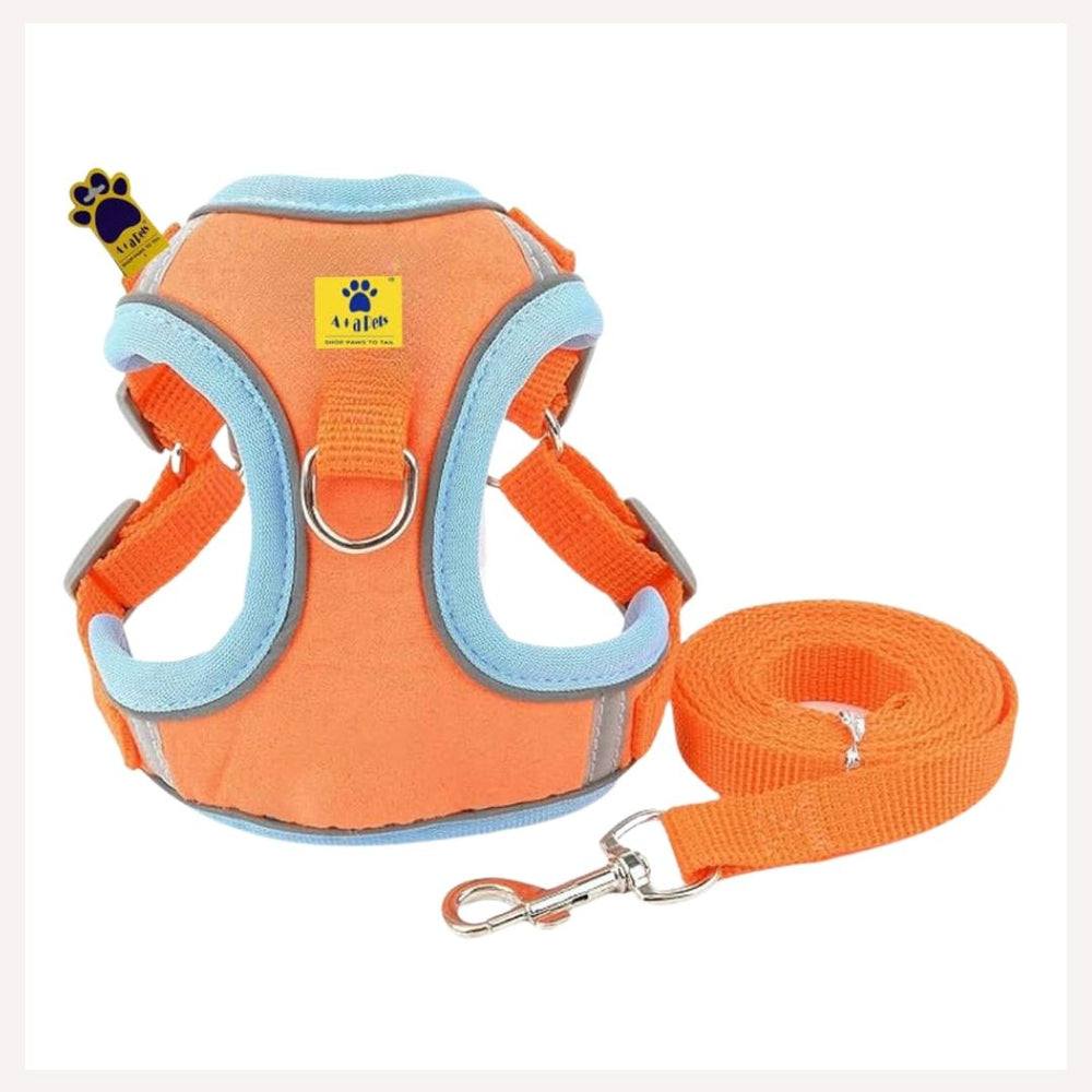 A+a Pets' Suede Harness & Leash Set for Cats & Small Dogs - www.aplusapets.com