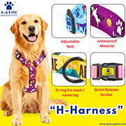 Dog wearing a colorful 'H-Harness' with product features highlighted on a yellow background.