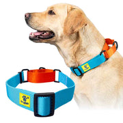 A+a Pets’ Martingale Collar for Dogs - Sky Collection - www.aplusapets.com