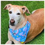 A+a Pets' 2in1 Scarf Collar Bandana for Dogs & Cats - Teddy Collection - www.aplusapets.com