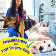 Woman with a dog in a veterinary clinic, with text about physiotherapy and post-surgery care.