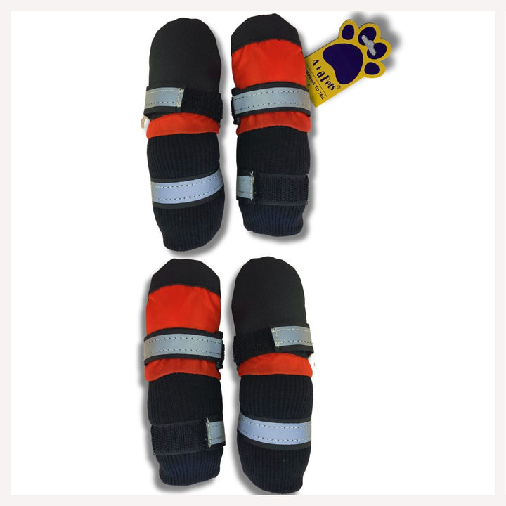 dog shoes