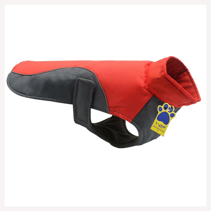 dog raincoat