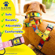 Dog wearing a colorful harness with A+a Pets branding and product features listed.