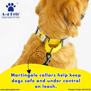A+a Pets’ Martingale Collar for Dogs - Blue Cotton Collection - www.aplusapets.com