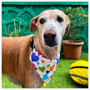 A+a Pets' 2in1 Scarf Collar Bandana for Dogs & Cats - Heart Collection - www.aplusapets.com