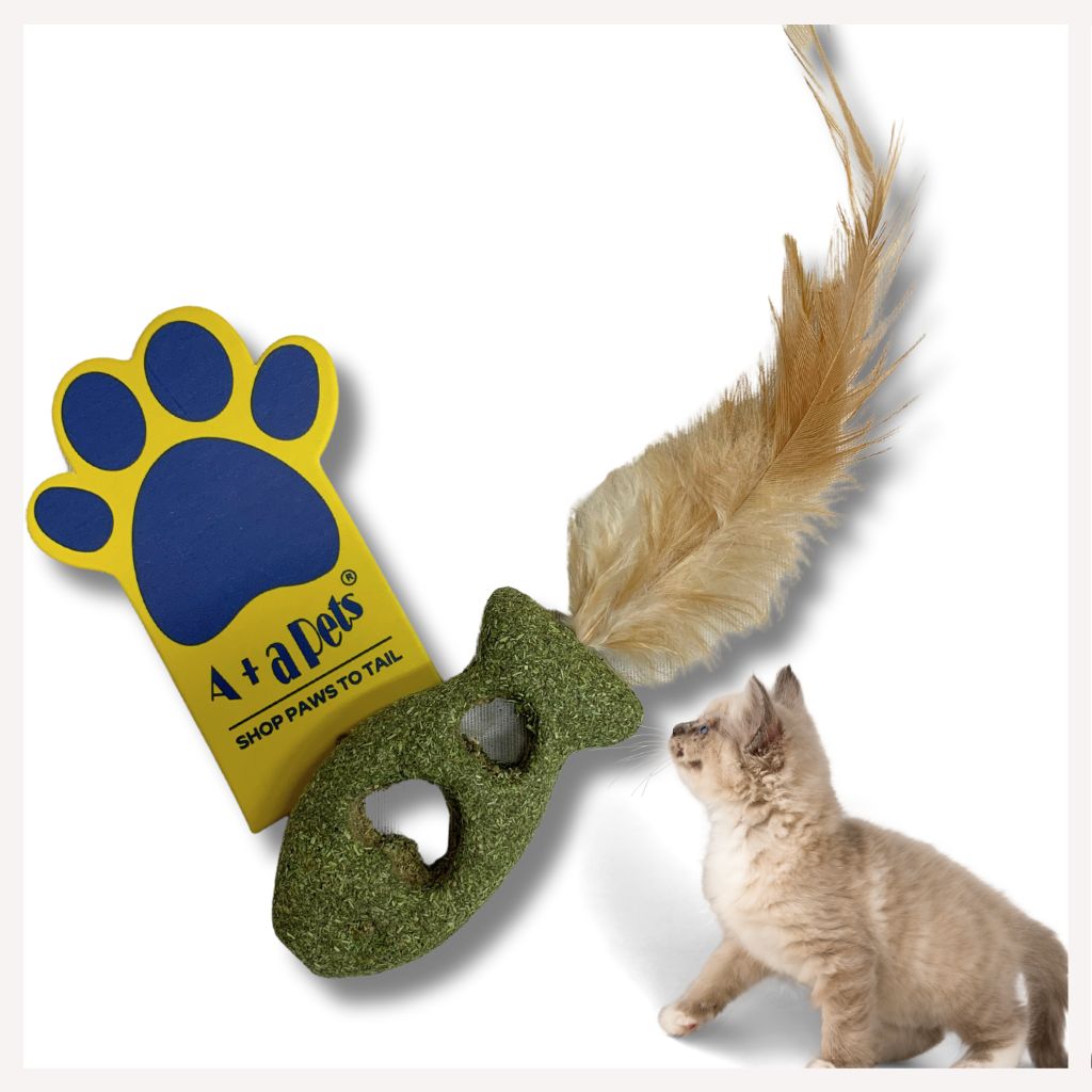 cat toys