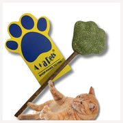 A+a Pets' Natural Catnip Wooden Stick for Cat - Chew Mint Lollipop Toy