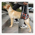 harness for dogs