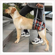 harness for dogs