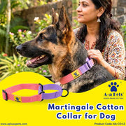 A+a Pets’ Martingale Collar for Dogs - Pink Cotton Collection - www.aplusapets.com