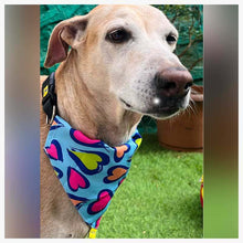 A+a Pets' 2in1 Scarf Collar Bandana for Dogs & Cats - Heart Collection