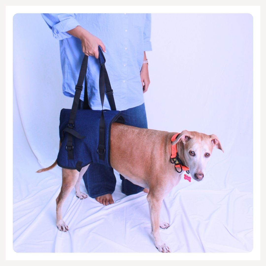 A+a Pets' Dog Lift Support Harness for Hind Back Legs