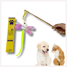 cat toys