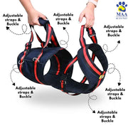 Black and red dog harness with adjustable straps and buckles, held by hands on a white background.