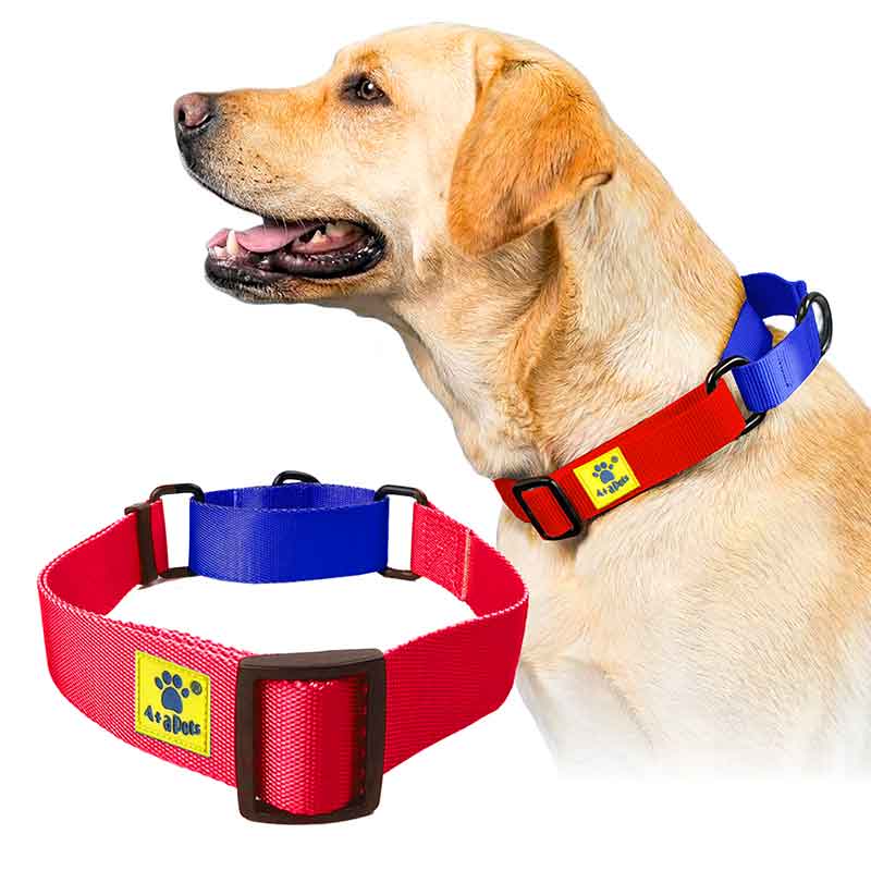 A+a Pets’ Martingale Collar for Dogs - Red Collection