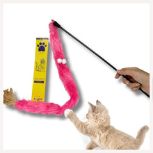 cat toys