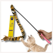 cat toys