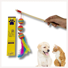 cat toys