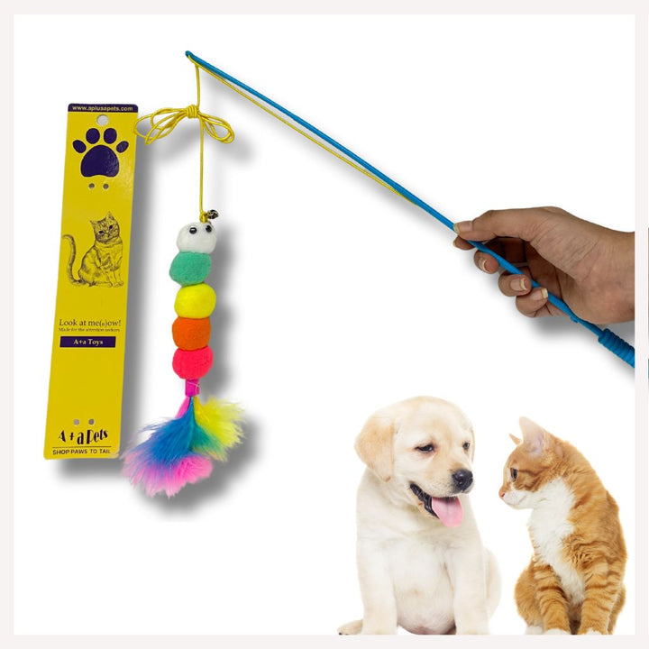 cat toys