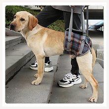 disabled dog lift harness