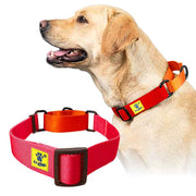 A+a Pets’ Martingale Collar for Dogs - Red Collection - www.aplusapets.com