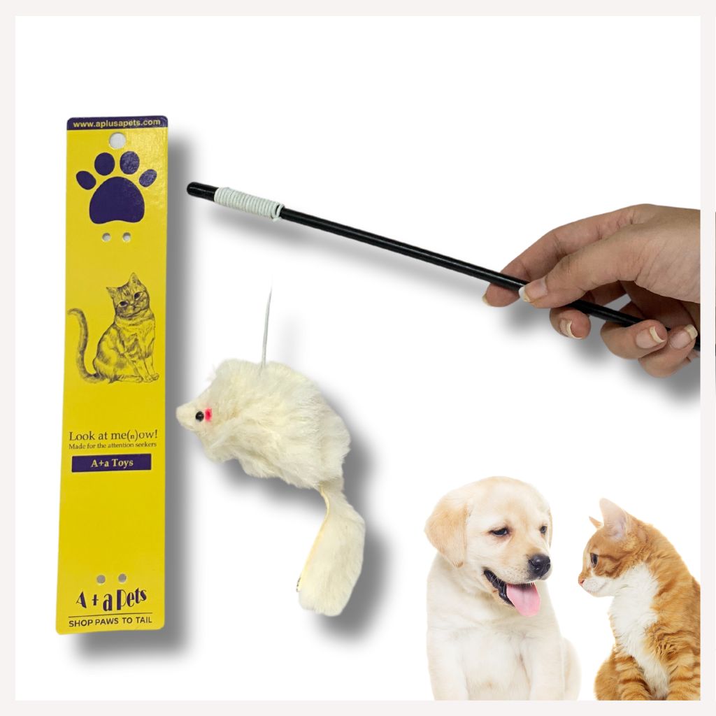 cat toys