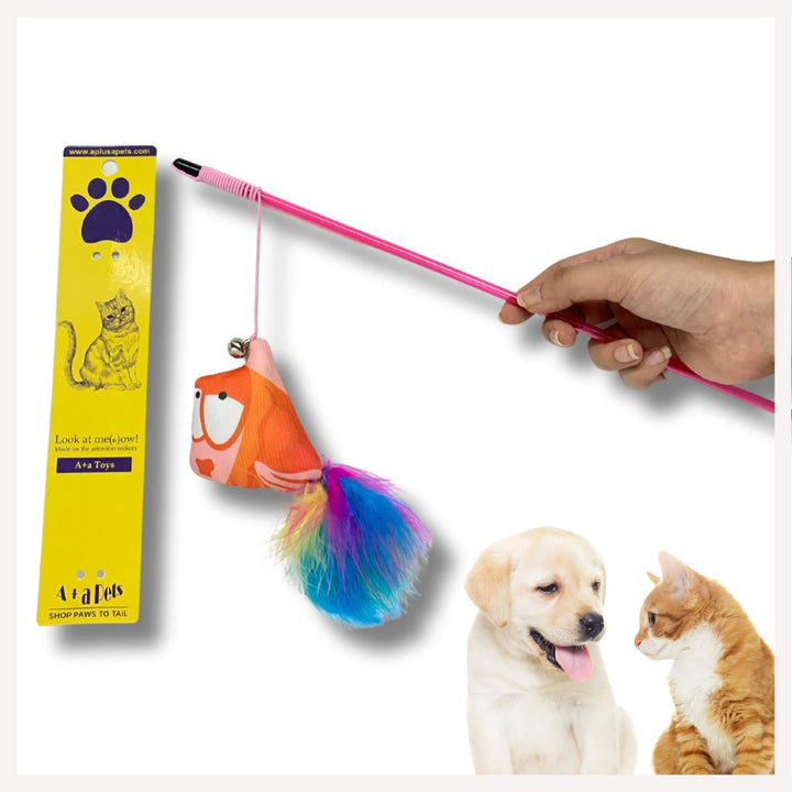 cat toys