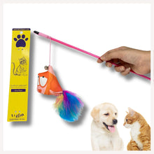 cat toys