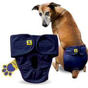 Dog wearing a blue diaper with a visible brand logo on a white background