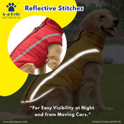 Dog wearing a reflective jacket with text about visibility at night and from moving cars.