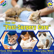 A+a Pets' Post Surgery Recovery Clothing for Cats - www.aplusapets.com