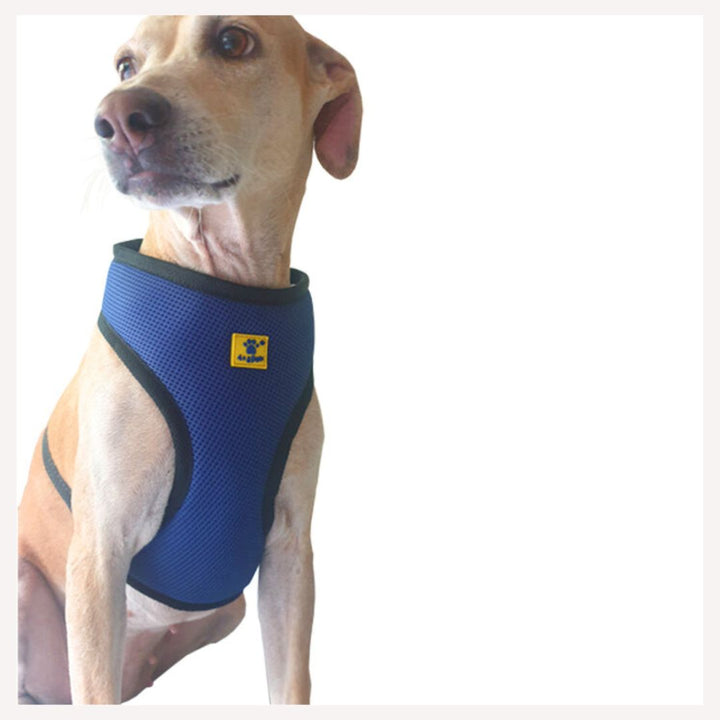 A+A Pets' Air Mesh Quick Dry Vest Style Harness - www.aplusapets.com
