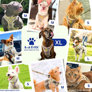 A+a Pets' Bur-Berry Checks Harness & Leash Set for Cats & Dogs - www.aplusapets.com