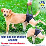 A+a Pets' Male Dog Lift Support Harness for Hind / Back Legs - www.aplusapets.com
