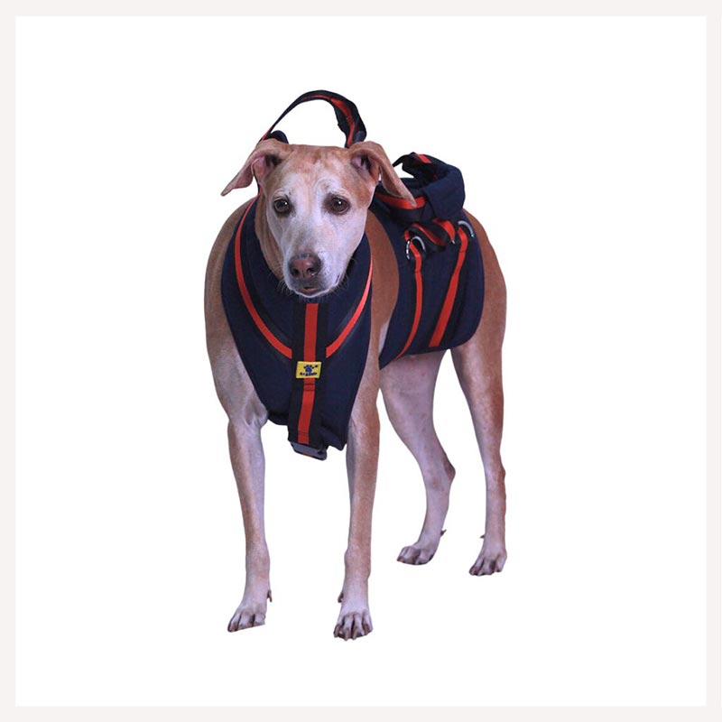 A+a Pets' Dog Body Support Harness Belt for Dogs with weak legs