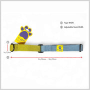 A+a Pets’ Martingale Collar for Dogs - Mango Cotton Collection - www.aplusapets.com