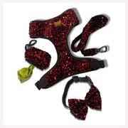 A+a Pets' Sequins Set of 5- Harness, Leash, Collar, Bow & Poo Bag Pouch - www.aplusapets.com