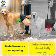 A+a Pets' Male Dog Lift Support Harness for Hind / Back Legs - www.aplusapets.com