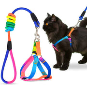 A+a Pets' Step-in Harness & Leash Set for Cats & Small Dogs Rainbow Colours - www.aplusapets.com