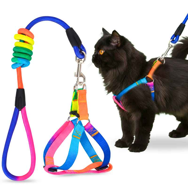 A+a Pets' Step-in Harness & Leash Set for Cats & Small Dogs Rainbow Colours - www.aplusapets.com