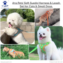 A+a Pets' Suede Harness & Leash Set for Cats & Small Dogs - www.aplusapets.com